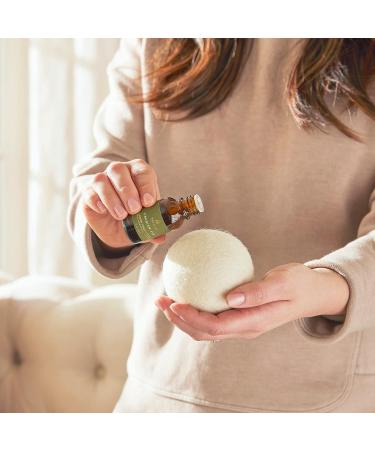 Thymes Frasier Fir Wool Dryer Balls Set with Laundry Fragrance Oil - Eliminate Wrinkles, Static & Lint - Scented Laundry Supplies - Buy Online on GoSupps.com