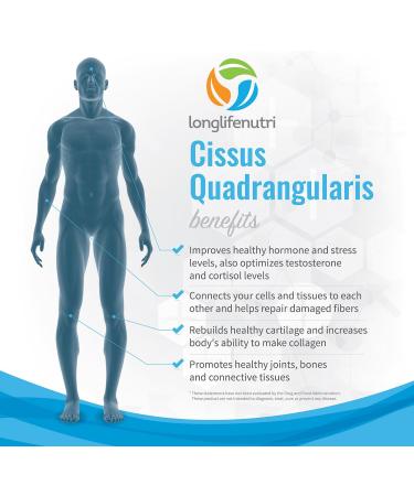 Cissus Quadrangularis Extract Capsules - Joint and Tendon Support Supplement | Reduce Pain & Promote Bone Health | 180 Vegetarian Pills - Buy Online on GoSupps.com