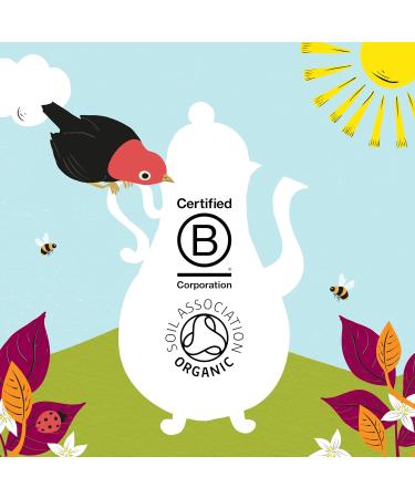 Clipper - Rich Roast Organic Instant Coffee | 6 x 100g Jars | Bulk Buy for Home & Catering | Sustainable Fairtrade Coffee by Clipper Teas | Ethically Sourced - Buy Online on GoSupps.com