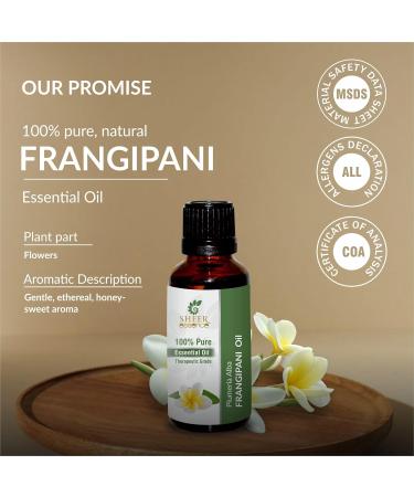 Frangipani Oil -(Plumeria Alba)- Essential Oil 100% Pure Natural Undiluted Uncut Therapeutic Grade Oil 0.16 Fl.Oz To 33.81 Fl.Oz By Sheer Essence (FRANGIPANI OIL 30ML (1.01 Fl.OZ)) - Buy Online on GoSupps.com