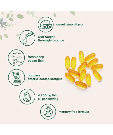 Micro Ingredients Vitamin D3 5 000iu + K2 100mcg Softgels & Omega-3 Fish Oil 120 Softgels Bundle 2 Pack | Essential Sunshine Vitamins | Wild-Caught Fish Lemon Flavored Burpless - Buy Online on GoSupps.com
