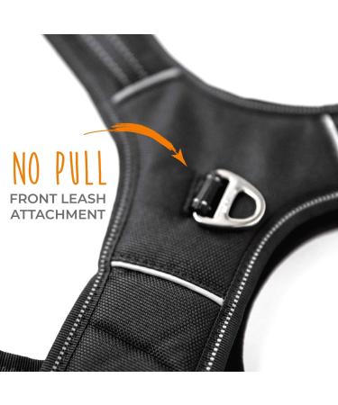 Mighty Paw Sports Harness 2.0 | Padded Adjustable Dog Harness | No-Pull Leash Front | Reflective Seams for Safety | Ultimate Comfort for Medium Dogs | Black - Buy Online on GoSupps.com