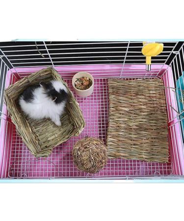 15PCS Grass Mat for Rabbit, Guinea Pig, Chinchilla, Squirrel, Hamster, Cat, Dog & Small Animals - Buy Online on GoSupps.com