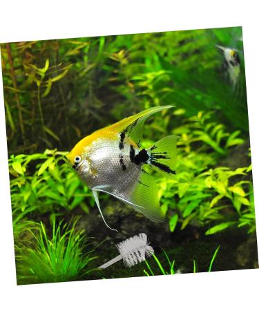 Healifty 2pcs Hose Brush Straw Cleaner Brush Drainage Cleaner Brush Tube Hose Cleaning Brush Flexible Spring Silverx2pcs 60X0.2X0.2CMx2pcs - Buy Online on GoSupps.com