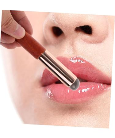 Silicone Lip Brush Lipstick Makeup Tool Lip Brush for Women Lip Gloss Brush Makeup Brush Concealer Brush Lip Applicator for Lip Balm Lip Applicator for Lip Gloss Lip Wands Plastic Didiseaon - Buy Online on GoSupps.com