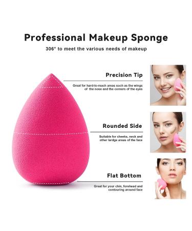 ZERNBER 6-Piece Makeup Sponge Set for Flawless Liquid & Powder Foundation Blending - Multi-Colored Beauty Sponges (Pack of 1) - Buy Online on GoSupps.com