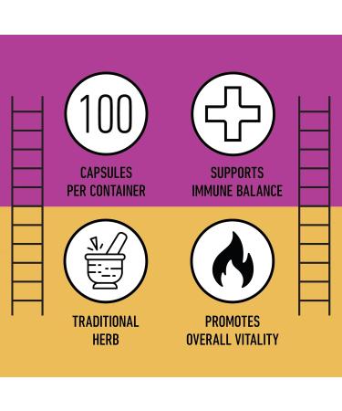 Complete Natural Products Organic Echinacea Capsules 600mg, 100ct | Plant-Based, Immune System & Seasonal Health Support | Pure Herb, Non-GMO, Vegan Capsules - Buy Online on GoSupps.com