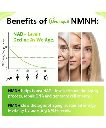 Ursinquil NMNH 500mg Dihydronicotinamide Mononucleotide NAD Supplement to Boost NAD Levels 120 Servings - Buy Online on GoSupps.com