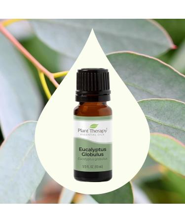 Buy 100% Pure Eucalyptus Globulus Essential Oil 10 mL - Therapeutic Grade for Diffuser Skin & Hair Aromatherapy DIYs | International Shipping - Buy Online on GoSupps.com