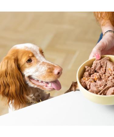 Edgard & Cooper Dog P t (Game & Duck 150g x 11) Grain Free Fresh Meat & Quality Protein Real Ingredients for Dogs Hypoallergenic No Added Sugars - Buy Online on GoSupps.com