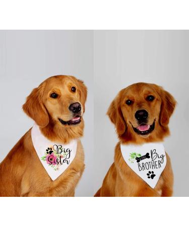 Gender Reveal Pet Scarf Set for Dog Lovers - Big Sister Brother Pregnancy Announcement - Pack of 2 - Buy Online on GoSupps.com