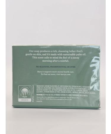 Buy Shiso Bar Soap - Cleansing & Lathering 4 Oz Each Pack of 2 | Shop Internationally - Buy Online on GoSupps.com