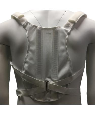 Buy CHAMPION Shoulder Brace Posture Support | Large Size | International Shipping Available - Buy Online on GoSupps.com