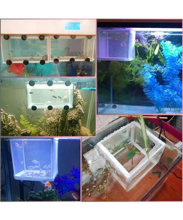 2 Pack Large Mesh Aquarium Fish Breeder Box - Fry Nursery Net for Baby Fish & Shrimp - Tank Divider for Guppy, Clownfish & Aggressive Fish - Buy Online on GoSupps.com