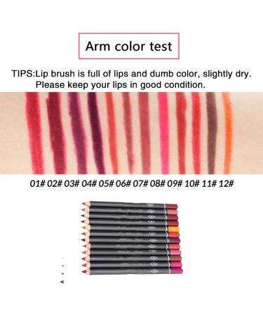 Matte Lip Pencil Set Italy Deluxe 14 6 2 12 Pack Vibely Lip Pencil Waterproof Matte Lip Liner Pencil Lip Makeup Cosmetic Pencil Set - Buy Online on GoSupps.com