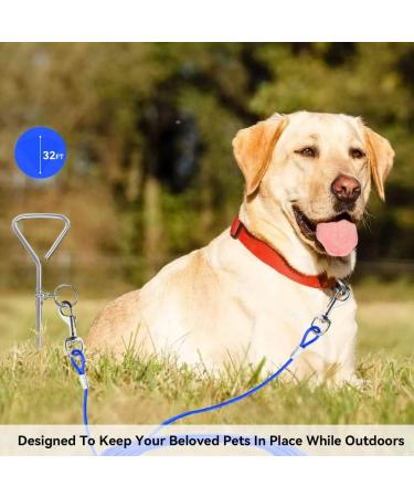 Dog Tether Cable Pet Tether Two-Headed Pet Rope Puppy Leash Leash Metal Chain (Blue) - Buy Online on GoSupps.com
