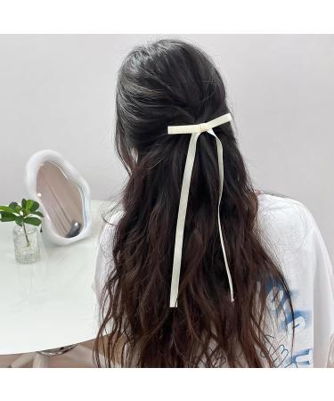 Fhioevt 10-Piece Silk Satin Hair Loop Clips for Women - Stylish Hairpins in 5 Colors for Elegant Hair Decoration - Buy Online on GoSupps.com