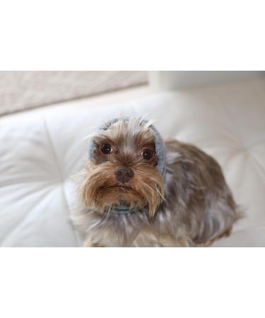 Pet Hoodz for Dog Anxiety | Soothing Ear Protection & Fur Care | Small Black & Blue Dog Ear Wraps - Buy Online on GoSupps.com