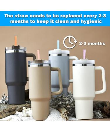 XANGNIER 6 Pack Multicolor Silicone Replacement Straws for Stanley Cups - Reusable Long Straws with Cleaning Brush | Compatible with Stanley Quencher Adventure, Water Jug & Cup Accessories - Buy Online on GoSupps.com