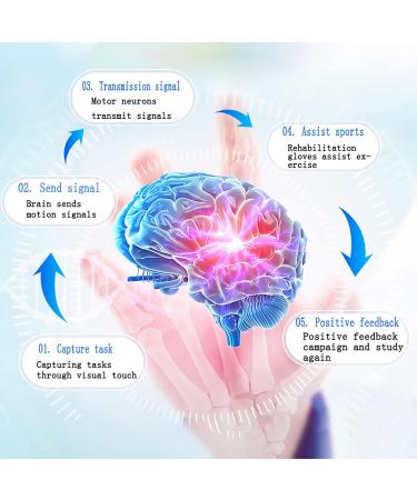 Health Gadgets Rehabilitation Robot Gloves Stroke Hemiplegia Training Equipment Powerful Finger Exerciser Hand Function Recovery for Recovering Gift Left Hand M Code M code Left hand - Buy Online on GoSupps.com