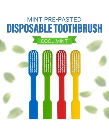 36 Prepasted Disposable Toothbrushes for Dental Care & Oral Hygiene | Individually Wrapped | No Water Needed | Airbnb Gifts (36 Pack) - Buy Online on GoSupps.com