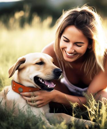 Handmade Leather Dog Collar 5cm Wide - Luxurious & Robust for Large/Medium Breeds - Soft Orange Neck Band (57-67.5cm) - Buy Online on GoSupps.com