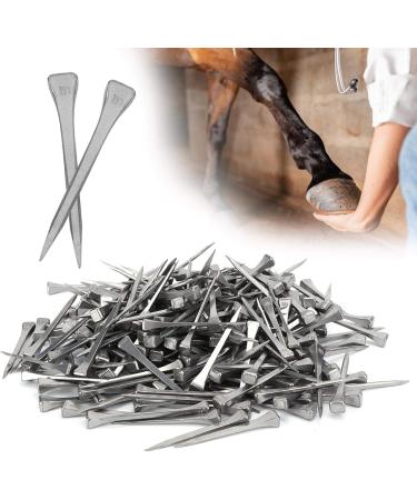 Steel Horseshoe Nails 250Pcs Horseshoe Nails Nail Palm for Horse Horseshoe Nail Horseshoe Nail Horse Horseshoe Nail for Horse Race Horse - Buy Online on GoSupps.com