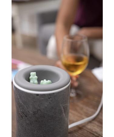 Happy Wax Endless Summer Scented Soy Wax Melts - 6 oz Made in USA | Endless Summer Mix - Buy Online on GoSupps.com