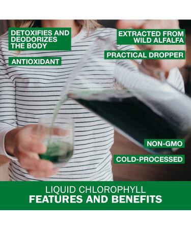 Liquid Chlorophyll Drops Eucalyptus 15X Concentrated 100ml - Detox - Alkaline - Natural Body Deodorant Antioxidant - Cold Extracted from Non-GMO Alfalfa - Made in Canada - Buy Online on GoSupps.com