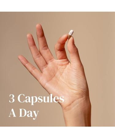 Vita Hair Growth & Hair Loss Supplement - 100% Natural Herbs for Thinning & Greying Hair - Stimulates New Hair Follicles - Men/Women - 90 Capsules - Buy Online on GoSupps.com