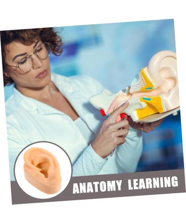 Beavorty Silicone Ear Mold Supplies for Body Acupuncture & Jewelry - Perfect for Pranks & Toy Making - Buy Online on GoSupps.com