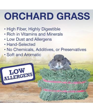 Grandpa's Best Orchard Grass Bale 10lb - Premium Quality Hay for Small Animals - Buy Online on GoSupps.com