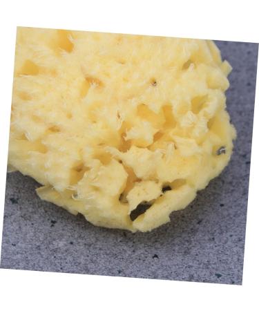 DOITOOL Bath Sponge Sponges Bath Shower Sponge Seaweed Sponge Natural Bath Flower Baby - Buy Online on GoSupps.com