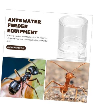 Ipetboom Pet Water Feeder Ant Water Feeders Ant Watering Cup Ant Bottle Feeder Ant Keeping Ant Feed Bowl Ants Feeding Device Ant Watering Station Ant Feeder Tool Animal Sea turtle Plastic - Buy Online on GoSupps.com