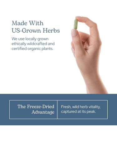 Eclectic Institute Raw Fresh Black Walnut 400mg - Non-GMO Freeze-Dried Veg Caps (90 Count) - Buy Online on GoSupps.com