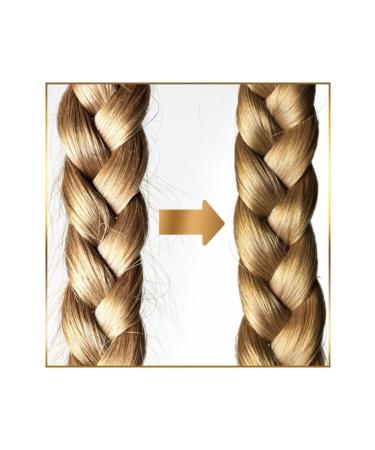 Pantene Shampoo Natural Synthesis Oil Therapy 500 ml + Conditioner 470 ml - Buy Online on GoSupps.com