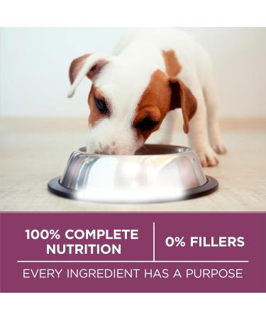 Purina ONE +Plus Dry Puppy Food with Lamb - 12 kg Bag 12 kg (Pack of 1) Dog Food - Buy Online on GoSupps.com
