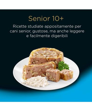 Cesar Senior 10+ Food for Senior Dogs Assorted Selection 150 g 24 tubs - 3600 g - Buy Online on GoSupps.com