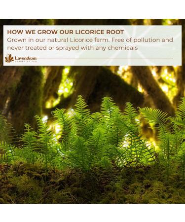Lavendium Premium 135 Licorice Tea Bags 100% Natural & Pure from Licorice Root Warming and Natural Sweet Licorice Herbal Tea Eco-Conscious Tea Bags No Additives No Caffeine Vegan Licorice 135 Bags - Buy Online on GoSupps.com