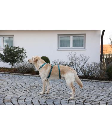 Kerbl 80045 Panic Harness Miami - Escape-Proof Design Petrol Color Adjustable 64-100cm | Shop Now for International Shipping - Buy Online on GoSupps.com
