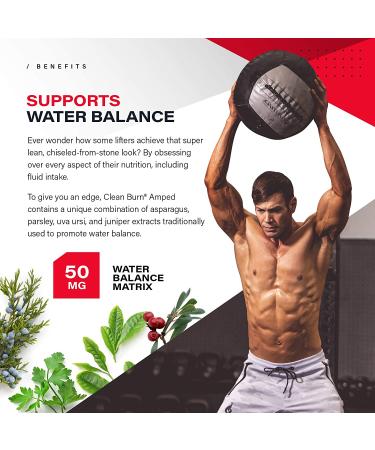 Kaged Muscle Clean Burn Amped Extreme Thermogenic for Men & Women  Weight Loss Supplement with Organic Caffeine  120 Veggie Caps Stimulant 120 Count (Pack of 1) - Buy Online on GoSupps.com