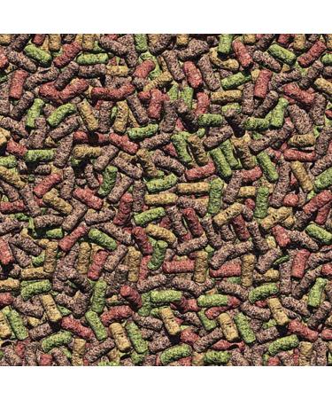 JBL ProPond All Seasons Koi Food - 5.8 kg Floating Sticks | All-Year-Round Fish Food for Healthy Koi - Buy Online on GoSupps.com