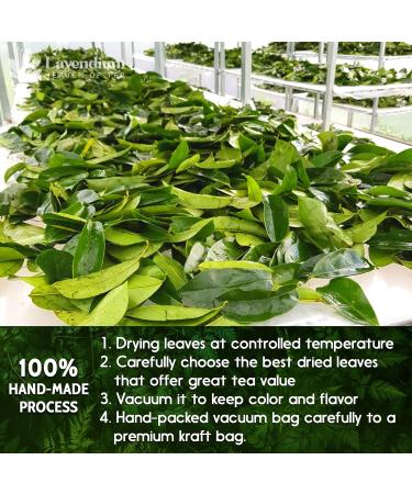 Lavendium 120+ Premium Soursop Graviola Dried Leaves 120-140 Natural Leaves Whole Soursop Leaves Wildcrafted Graviola Soursop Hoja Guanabana Soursop Loose Leaf Herbal Tea No Gluten Vegan Soursop Leaves 120 Bags - Buy Online on GoSupps.com