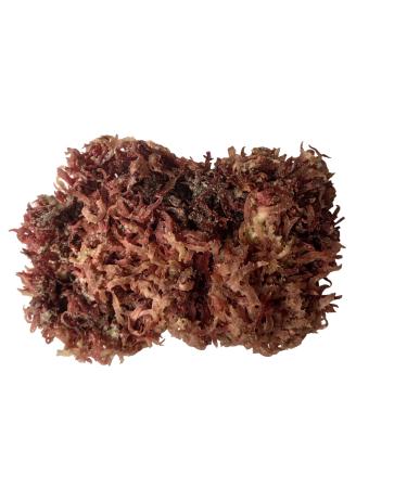 Red Sea Moss Dried Seaweed Salad Seaweed 200g