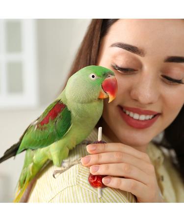 Wild Harvest Fruit Kabobs for Birds - 6 Count | Real Carrot, Cherry, Cranberry | Edible Skewer - Buy Online on GoSupps.com