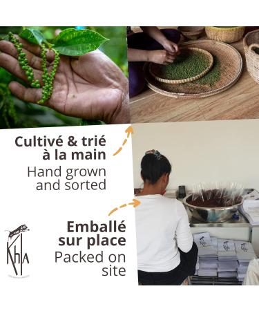 Khla - Organic Kampot White Pepper - Peppercorns 50g - Traditional Palm Leaf Gift Box - Grand Cru Strong & Powerful - Cooking Ingredient - Asian Spice - Cambodian Origin - Buy Online on GoSupps.com
