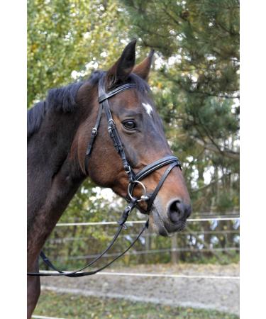 Buy Kerbl 326138 Classic Leather Bridle in Black for Cob & Thoroughbred | Premium Quality eCommerce Shipping Worldwide - Buy Online on GoSupps.com
