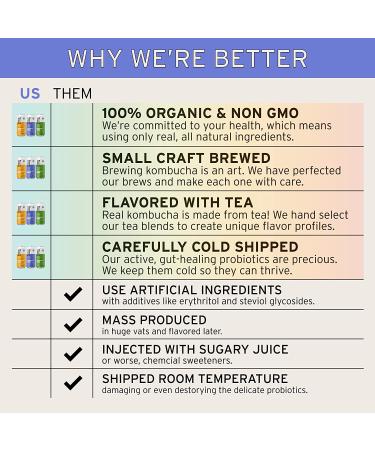 Better Booch Organic Kombucha Variety Pack - Probiotic Rich Sparkling Tea - Vegan, Gluten-Free & Low Sugar - 16 Fl Oz Cans, 9-Pack - Buy Online on GoSupps.com