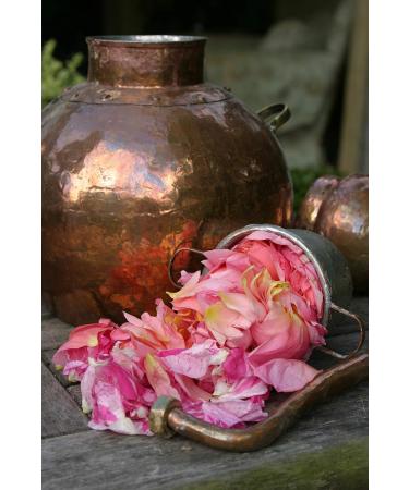Organic & Natural Rosewater & Witch Hazel Facial Toner with Aloe Vera | Made with pure highest grade organic ingredients | Gentle refreshing & effective - removes impurities & soothes tones & clarifies skin | Suitable for all skin types | Large 250 ml. bo - Buy Online on GoSupps.com