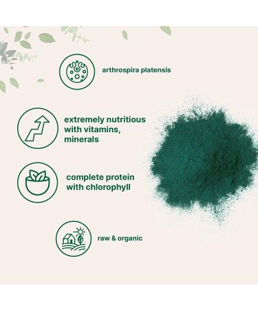 Micro Ingredients Organic Spirulina Powder 16oz Raw Arthrospira Platensis Superfood with 70% Vegan Protein, Minerals, Vitamins Non-GMO & Non-Irradiated 1lb Pack - Buy Online on GoSupps.com